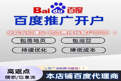 百度竞价排名服务：成功案例解析
